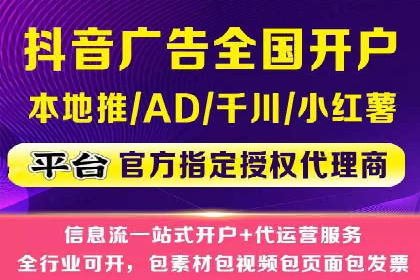 SEM运营公司经典案例点评